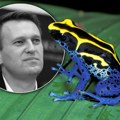 Šta je toksin iz žabe kojim je, navodno, otrovan Navaljni? 200 puta je jači od morfijuma, izaziva paralizu, konvulzije, ali to…