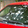 Ptičji izmet može ozbiljno da ošteti automobil: Evo zašto ga treba odmah ukloniti