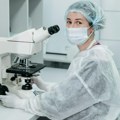 ​Crv mesožder se pojavio u SAD, prvi slučaj otkriven kod goveda u Teksasu