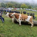 Država podržala Prijepolje: Za „Miholjske susrete sela“ gotovo pola miliona dinara