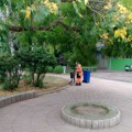 JKP „Mediana“ nastavlja radove širom Niša: Evo koje su ulice i parkovi danas na redu