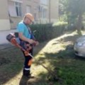JKP „Mediana“ danas uređuje grad: Košenje, čišćenje i orezivanje na desetinama lokacija u Nišu