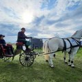 Fijakeri, gulaš i konjička revija sutra u Novim Karlovcima na „Sremskoj potkovici“