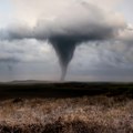 Kataklizma u Italiji: Tornado obarao drveće i tezge na pijaci VIDEO