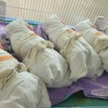 Pet godina željno iščekivali potomstvo: Dirljiva priča o četvorkama rođenim na Ivanjdan u Novom Sadu