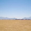 Saudijska Arabija i Holandija rade na uzgoju hrane u pustinji