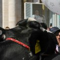 Italijanski poljoprivrednici traktorima došli u Vatikan: Papa ih pozdravio, na poklon dobio kravu