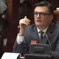 Jovanov o novim napadima na profesora Radenovića: Nastavlja se medijski progon i linč čoveka koji je učinio mnogo za Srbiju