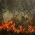 Širom Grčke od jutros izbio 71 požar Šest regiona u pripravnosti (video)