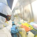 Kineski naučnici napravili novi mutantski soj ebole sa jezivim simptomima: Grupa hrčaka na kojima se eksperimentisalo…