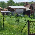 Pretužno jutro u Ljuboselu kod Topole: Ovo je domaćinstvo u kom se desila nezapamćena tragedija