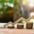 Investiciono-razvojni fond Crne Gore u privredu plasirao 186 miliona evra