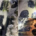 U prtljažniku pronađeni ručni raketni bacači, bombe i automatske puške. U Nišu uhapšen osumnjičeni za šverc oružja.