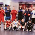 Srpski bokseri sparinguju sa evropskim velesilama