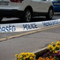 U Mađarskoj poginulo 12 Poljaka: Tragedija na auto-putu