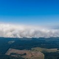 Veliki šumski požar u Belgiji, stotine ljudi iseljeno, vatra se približava Nemačkoj