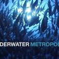 Film "Podvodni metropolis": Otkrijte tajne koralnog grebena na Novi Sad film festivalu