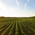 EU: 90 odsto farmi porodična gazdinstva, ali s malim udelom u zemljištu