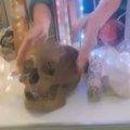 Stravično otkriće na Floridi: Kupac među ukrasima za Noć veštica pronašao ljudsku lobanju (foto)