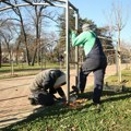 Veliki park u Kragujevcu dobija novi izgled: Potavljaju se lukovi za cvetni tunel