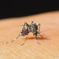 Nov pristup u zaustavljanju malarije – izlečiti komarce