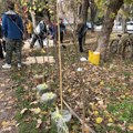 „16 za 16“ – Građani posadili stabla u znak sećanja na nastradale na Železničkoj stanici u Novom Sadu