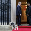 Britanski mačak Lari ponovo odjurio čim je ugledao Zelenskog (video)