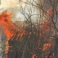 Veliki požar u Novom Sadu: Proširila se vatra sa niskog rastinja na šupu sa ogrevom (foto)