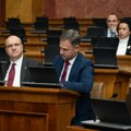Aleksić (NPS): Verujem da ljudi neće prodati svoj glas za džak veštačkog đubriva ili metar drva