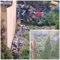 Horder u komšiluku: Treba mi baš sve