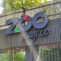 Senzacija u komšiluku! U zoološkom vrtu rođene jedine bebe ove vrste u celoj Evropi: Uprava izdala hitno upozorenje za sve…