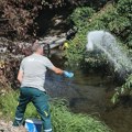 Batut: Od početka juna u Srbiji registrovano 11 slučajeva groznice Zapadnog Nila