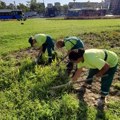 Zelenilo kosi travu i ambroziju na više lokacija u Novom Sadu
