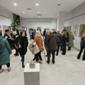 Izložba mladih umetnika: Postavka u Galeriji opštine Vračar do 25. januara