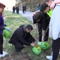 Ispred manstira Gradac nova stabla jorgovana