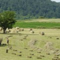 Donacije za mlade poljoprivrednike: Podrška požeškim školarcima