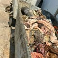 Inspekcija zatekla užas u klanici u Aleksandrovcu: Zabranjeno im da rade, naređeno da se uništi skoro 700 kilograma govedine