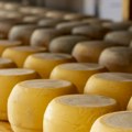 Portugal: Lactalis preuzima proizvođača sira Queijos Tavares