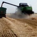 Prvi otkosi ječma u Banatu - prinos veći za trećinu