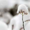 Oktobar počinje hladnim jutrom i prvim snegom na planinama