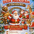 Dedamrazijada u Zoološkom vrtu Bor: Više od 500 paketića, predstava i besplatan čaj za sve