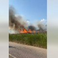 Ugašen požar na Halkidikiju: Zapalilo se rastinje na placu na Sitoniji, vatrogasci brzo reagovali, turisti bezbedni