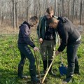 U Sremskoj Mitrovici još 150 stabala: I budući šumari sadili lipe