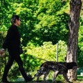 Smena sunca i kiše: Promenljivo vreme i pad temperature u narednim danima