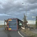 Prevrnuo se kamion na kružnom toku kod naplatne rampe u Sremskoj Mitrovici