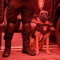 U Srbiji na snazi crveni stepen opasnosti od terorističkog napada: Stručnjaci o tome koliko je to zaista nužno