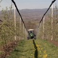 Zbog niskih temperatura, poljoprivrednici zabrinuti za ovogodišnji rod jagode i nekih povrtarskih kultura