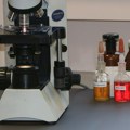 Šta je leptospiroza: Simptomi bolesti, lečenje i mere prevencije