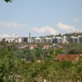 Momak seje strah Višnjičkom banji: "Šeta dva ogromna psa i huška ih da napadaju"