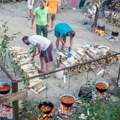 Gornje Podunavlje kao inspiracija: Za subotu zakazan foto-safari